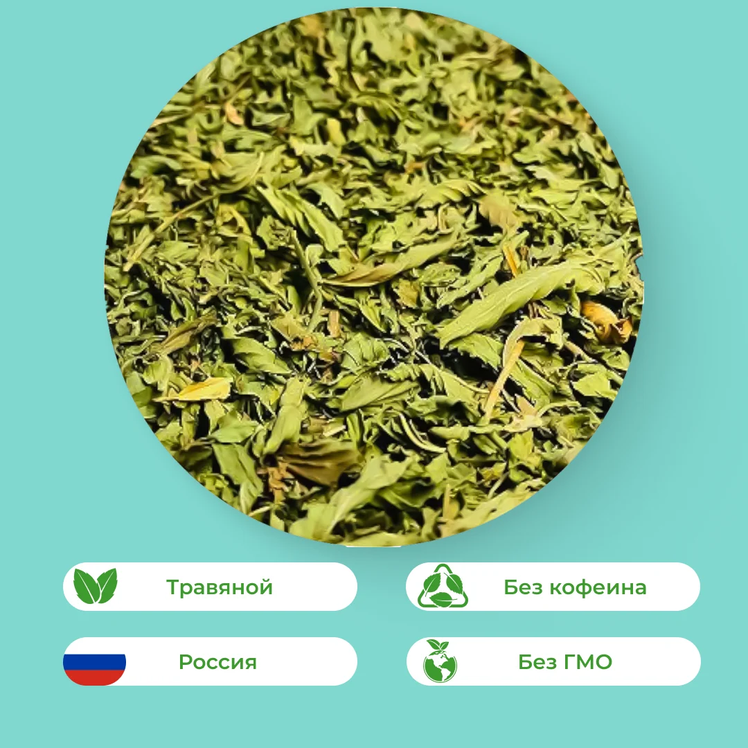 Мята