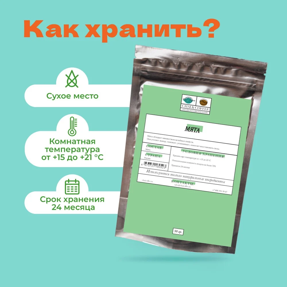 Мята