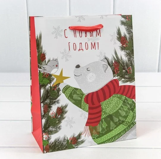 Пакет подарочный 18*23*10 НГ (микс 430)