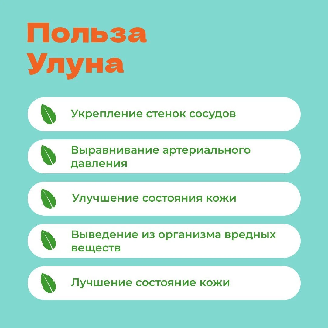 Чай улун Женьшень в пирамидках
