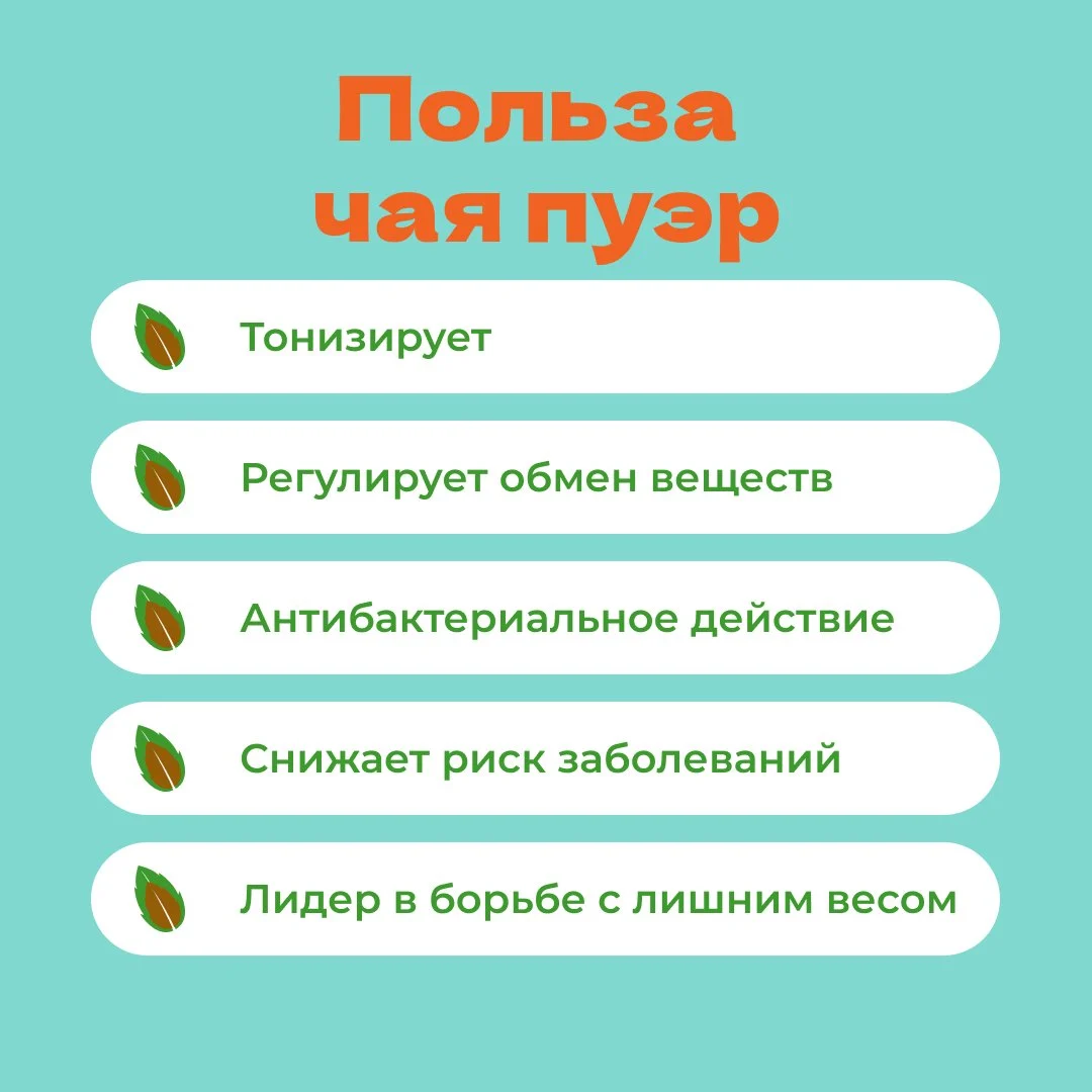 Пуэр Путь чая (шу) 92-100 гр