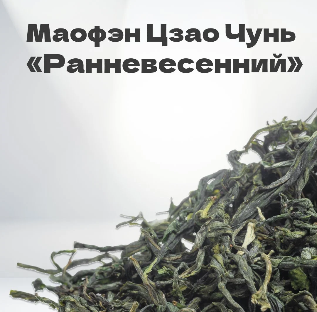 Чай зеленый Маофэн Цзао Чунь 