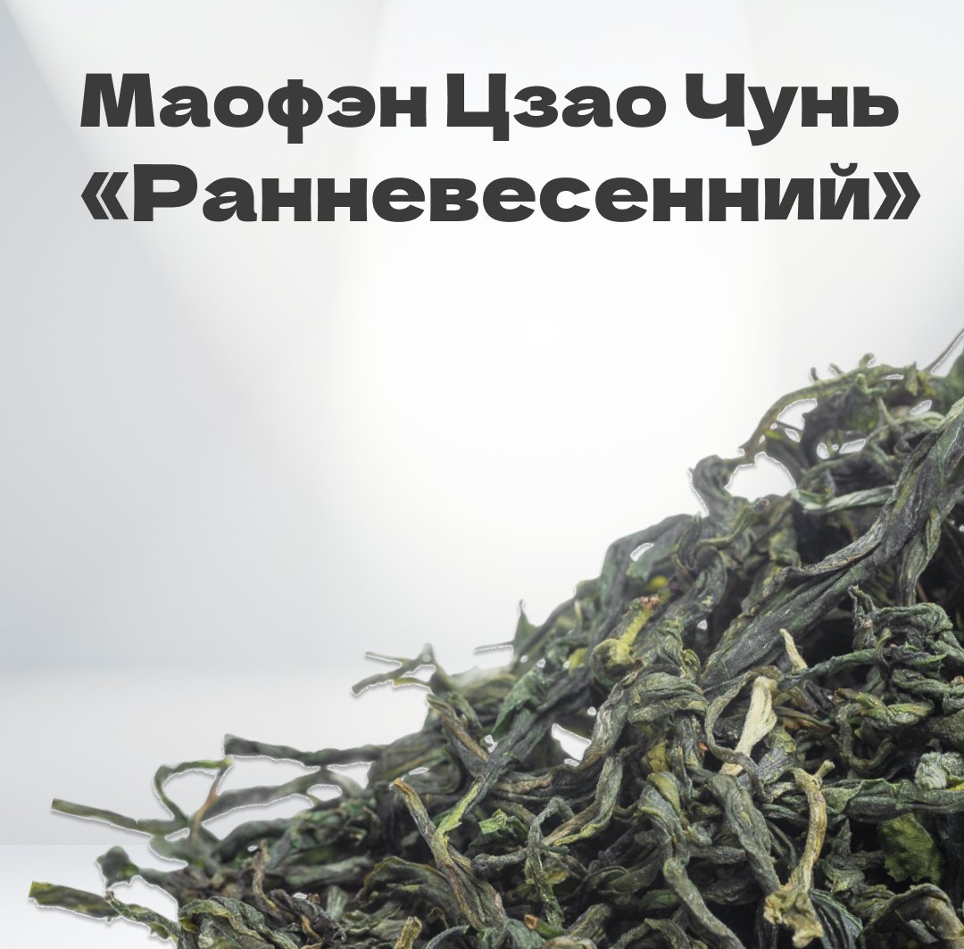 Чай зеленый Маофэн Цзао Чунь 