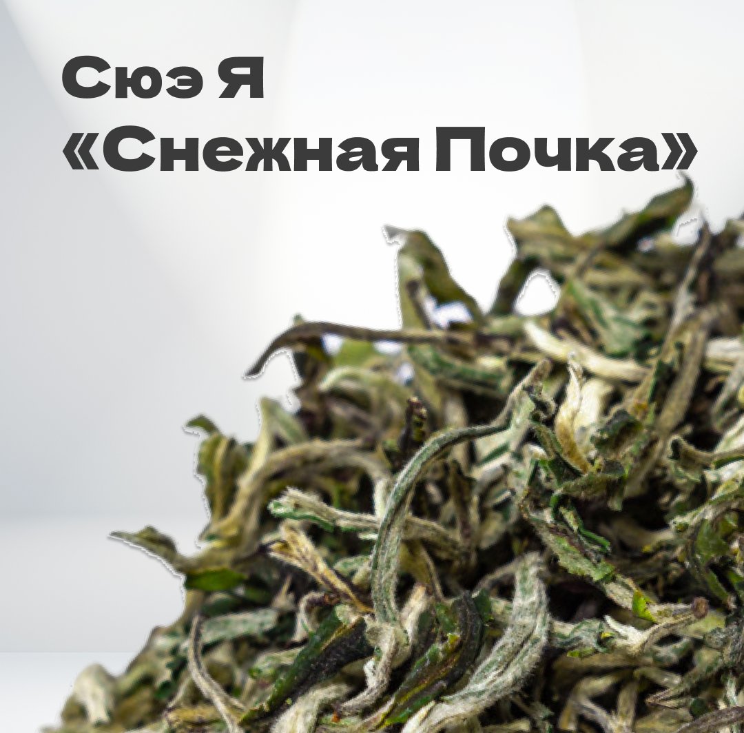 Чай зеленый Сюэ Я 